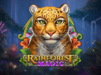 Rainforest Magic 썸네일
