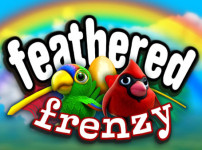 Feathered Frenzy 썸네일