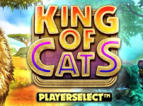 King of Cats Megaways 썸네일