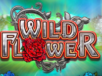 Wild Flower 썸네일