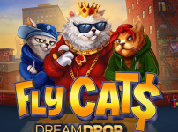 Fly Cats Dream Drop 썸네일