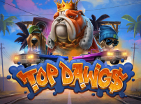 Top Dawg$ 썸네일
