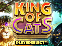 King of Cats 썸네일