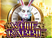 White Rabbit 썸네일