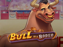 Bull in a Rodeo 썸네일