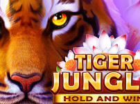 TIGER JUNGLE 썸네일