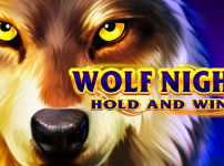 WOLF NIGHT 썸네일