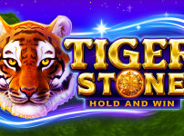 TIGER STONE 썸네일
