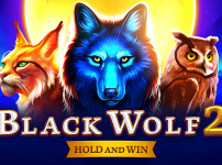 Black Wolf 2 썸네일