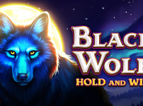 Black Wolf 썸네일
