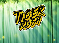 Tiger Rush 썸네일