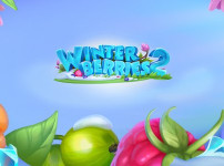 Winterberries 2 썸네일