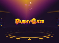 Pushy Cats 썸네일