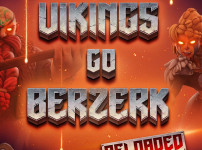 Vikings Go Berzerk Reloaded 썸네일
