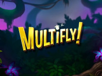 Multifly! 썸네일