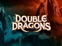 Double Dragons 썸네일