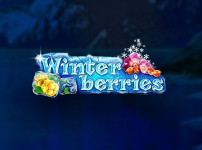 Winterberries 썸네일