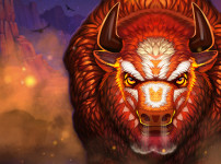 BISON BATTLE 썸네일