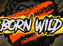 Born Wild 썸네일