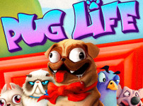 Pug Life 썸네일