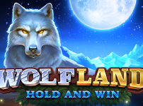 Wolf Land: Hold and Win 썸네일