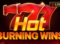 Hot Burning Wins 썸네일