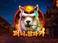 퍼니 알파카 썸네일