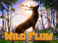 WILD FLOW 썸네일