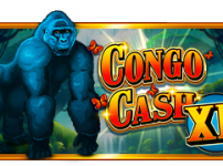 Congo Cash XL 썸네일