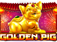 Golden Pig 썸네일