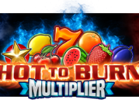 Hot to Burn Multiplier 썸네일