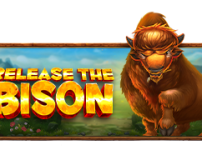 Release the Bison 썸네일