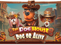 The Dog House - Dog or Alive 썸네일