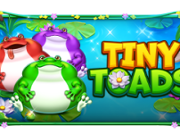 Tiny Toads 썸네일