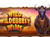 Wild Wildebeest Wins 썸네일