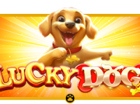 Lucky Dog 썸네일
