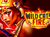 Wild Cats Fire: Hold and Win 썸네일