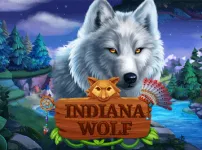 INDIANA WOLF 썸네일