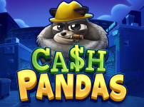 CASH PANDAS 썸네일