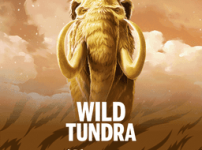 Wild Tundra 썸네일