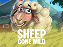 Sheep Gone Wild 썸네일