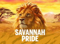 Savannah Pride 썸네일