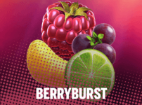 Berryburst 썸네일