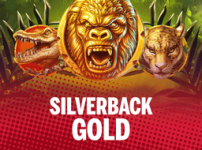 Silverback Gold™ 썸네일