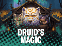 Druid’s Magic 썸네일
