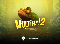 MultiFly! 2 MultiMax™ 썸네일