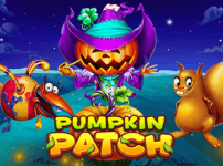PUMPKIN PATCH 썸네일