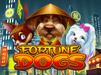 FORTUNE DOGS 썸네일