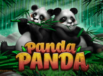 PANDA PANDA 썸네일