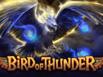 BIRD OF THUNDER 썸네일
